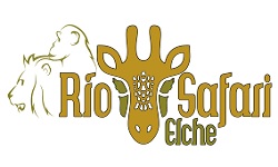 rio-safari-250x150-1.jpg