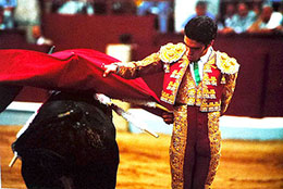 José Tomás en una faena con muleta. Foto: WIKIMEDIA.