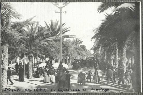 Foto realizada por el m&eacute;dico alicantino Francisco Ramos Mart&iacute;n.