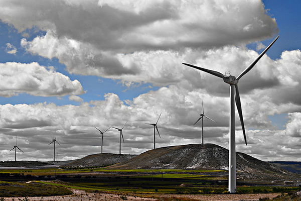 Campo de molinos de producción de energía eólica. Foto: Flickr